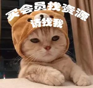没错就是我
