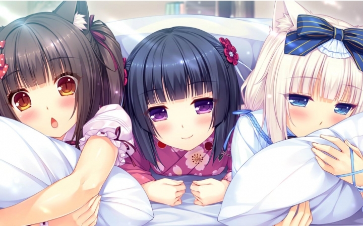 【汉化h游戏美少女游戏下载/VIP】NekoparaVol.0巧克力和香子兰（艹猫）