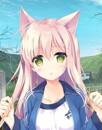 【汉化H游戏美少女游戏下载/VIP】兽娘育成方案