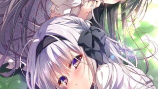 【汉化h游戏下载/百度云/机翻预警】真爱百合赤染（真爱の百合は赤く染まる）