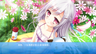 【汉化h游戏下载/磁力/百度云/VIP】与妹妹的记忆/妹を汚した記憶（全cg存档）