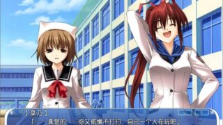 【汉化h游戏美少女游戏下载/磁力】纯爱校园AVG/雪歌汉化硬盘版