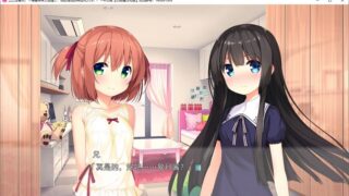 【汉化H游戏美少女游戏下载/磁力/VIP】ADV/工口龙卷风！～偶像妹妹太H了，我的理性即将狂风大作！？～ 汉化硬盘版[476M]