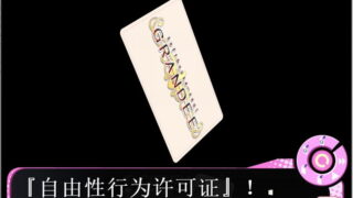 【汉化H游戏美少女游戏下载/磁力/VIP】ADV/绝对遵守☆强制造人许可证！！ 汉化硬盘[3.18G]