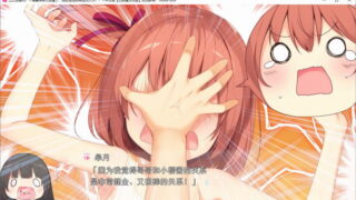 【汉化H游戏美少女游戏下载/磁力/VIP】ADV/工口龙卷风！～偶像妹妹太H了，我的理性即将狂风大作！？～ 汉化硬盘版[476M]