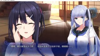 【汉化H游戏美少女游戏下载/磁力/VIP】水莲与紫苑 汉化硬盘版[2.39G]