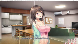 【汉化H游戏美少女游戏下载/磁力/VIP】ADV/HarmonEy/和睦 汉化硬盘版[601M]