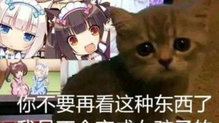 【汉化H游戏美少女游戏下载/百度云/VIP】巧克力与香子兰4/NEKOPARA Vol. 4繁中硬盘版