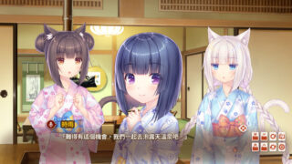 【汉化H游戏美少女游戏下载/百度云/VIP】巧克力与香子兰4/NEKOPARA Vol. 4繁中硬盘版