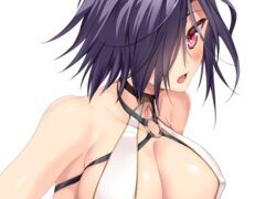 【汉化H游戏美少女游戏下载/磁力/VIP】ADV/变身/触手/纯爱/流星钟摆之心 汉化硬盘版[1.04G]