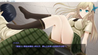 【汉化H游戏美少女游戏下载/磁力/VIP】同人游戏/肉调教～我的女神是肉奴隶～ 汉化硬盘版[308M]