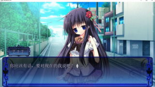 【汉化H游戏美少女游戏下载/磁力/VIP】ADV/NOeSIS03 轻歌之影的戏曲 汉化硬盘版[952M]