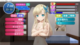 【汉化H游戏美少女游戏下载/磁力/VIP】同人游戏/肉调教～我的女神是肉奴隶～ 汉化硬盘版[308M]