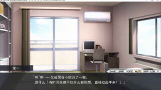 【汉化H游戏美少女游戏下载/磁力/VIP】[インターハート]爱妹恋爱