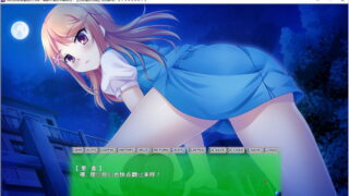 【汉化H游戏美少女游戏下载/磁力/VIP】ADV/我们的秘密基地大作战～离家外宿的今夏回忆～ 汉化硬盘版[1.02G]