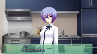 【汉化H游戏美少女游戏下载/磁力/VIP】ADV/认真和我谈恋爱！！ 汉化硬盘版[6.02G]