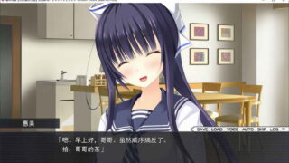 【汉化H游戏美少女游戏下载/磁力/VIP】[インターハート]爱妹恋爱