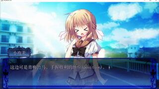 【汉化H游戏美少女游戏下载/磁力/VIP】ADV/NOeSIS03 轻歌之影的戏曲 汉化硬盘版[952M]