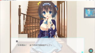 【汉化H游戏美少女游戏下载/磁力/VIP】ADV/笨蛋不死就治不好 汉化硬盘版[778M]