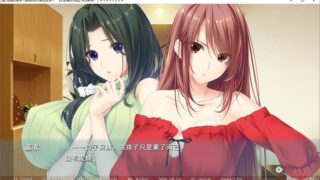 【汉化H游戏美少女游戏下载/磁力/VIP】姐姐的推荐～姐姐的恶作剧性生活～ 汉化硬盘版[1.28G]