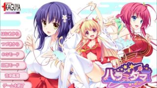 【汉化H游戏美少女游戏下载/磁力/VIP】怀孕大作战 汉化硬盘版[1.02G]