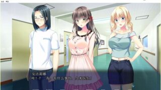 【汉化H游戏美少女游戏下载/磁力/VIP】White Blue 汉化硬盘版[1.67G]