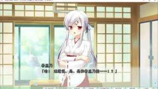 【汉化H游戏美少女游戏/磁力/VIP】新娘太好找了我很方！ 汉化硬盘版[2.85G]