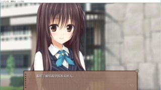 【汉化H游戏美少女游戏下载/磁力/VIP】ADV/PRETTY×CATION 汉化硬盘版[3.98G]