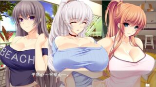 【汉化H游戏美少女游戏下载/磁力/VIP】夏汁100% 汉化硬盘版[2.28G]