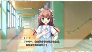 【汉化H游戏美少女游戏/磁力/VIP】新娘太好找了我很方！ 汉化硬盘版[2.85G]