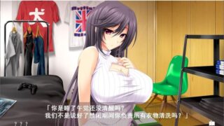 【汉化H游戏美少女游戏下载/磁力/VIP】姐姐×SHUFFLE！ 汉化硬盘版[2.16G]