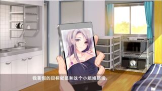 【汉化H游戏美少女游戏下载/磁力/VIP】姐姐×SHUFFLE！ 汉化硬盘版[2.16G]