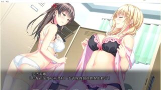 【汉化H游戏美少女游戏下载/磁力/VIP】White Blue 汉化硬盘版[1.67G]