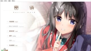 【汉化H游戏美少女游戏下载/磁力/VIP】密语 v1.1 汉化硬盘版[2.2G]