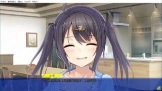 【汉化H游戏美少女游戏下载/磁力/VIP】未来收音机与人工鸽 繁中汉化硬盘版[2.13G]