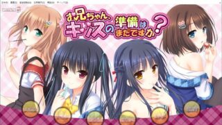 【汉化H游戏美少女游戏下载/磁力/VIP】ADV/哥哥，还没做好KISS的准备吗？+DLC+FD 汉化硬盘版[4.25G+2.50G]