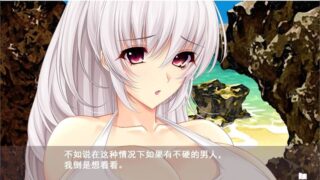 【汉化H游戏美少女游戏下载/磁力/VIP】夏汁100% 汉化硬盘版[2.28G]