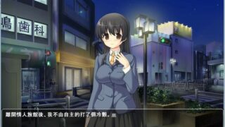 【汉化H游戏美少女游戏下载/磁力/VIP】风纪委员 白纱 汉化硬盘版[101M]