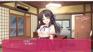 【汉化H游戏美少女游戏下载/磁力/VIP】私奔 汉化硬盘版[639M]