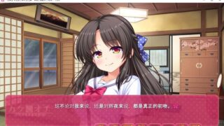 【汉化H游戏美少女游戏下载/磁力/VIP】私奔 汉化硬盘版[639M]