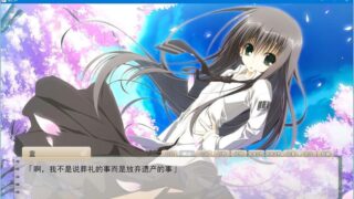 【汉化H游戏美少女游戏下载/磁力/VIP】樱之诗 V1.2 汉化测试硬盘版[2.67G]