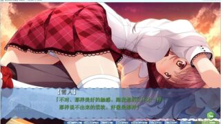 【汉化H游戏美少女游戏下载/磁力/VIP】妹之形 V1.01 汉化硬盘版[2.81G]