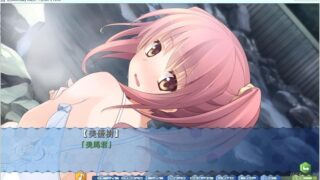 【汉化H游戏美少女游戏下载/磁力/VIP】妹之形 V1.01 汉化硬盘版[2.81G]