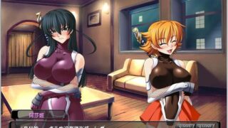 【汉化H游戏美少女游戏下载/磁力/VIP】対魔忍阿莎姬2 完全版 汉化硬盘版[810M]