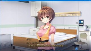 【汉化H游戏美少女游戏下载/磁力/VIP】BALDR HEART 汉化硬盘版[6.75G]