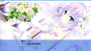 【汉化H游戏美少女游戏下载/磁力/VIP】宿星Girlfriend 3 汉化硬盘版[2.11G]