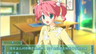 【汉化H游戏美少女游戏下载/磁力/VIP】星空的记忆 -Wish upon a shooting star- 汉化硬盘版[3.1G]