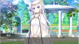 【汉化H游戏美少女游戏下载/磁力/VIP】堕落皇家圣处女 繁中汉化硬盘版[307M]