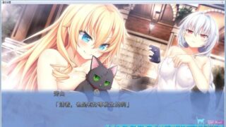 【汉化H游戏美少女游戏下载/磁力/VIP】野良与皇女与流浪猫之心2 汉化硬盘版[6.50G]
