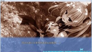 【汉化H游戏美少女游戏下载/磁力/VIP】野良与皇女与流浪猫之心2 汉化硬盘版[6.50G]